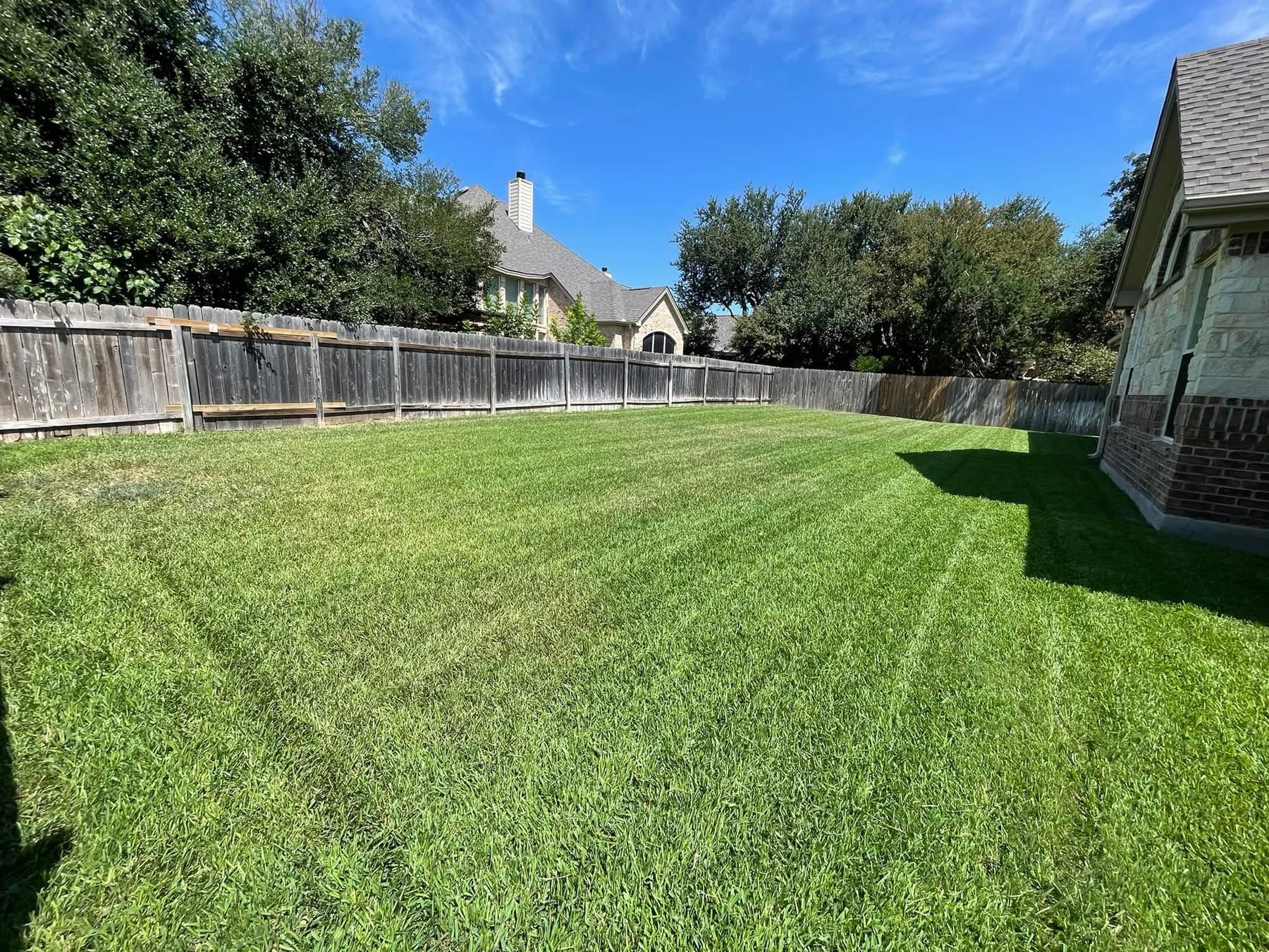 Large backyard mowed with clean stripes